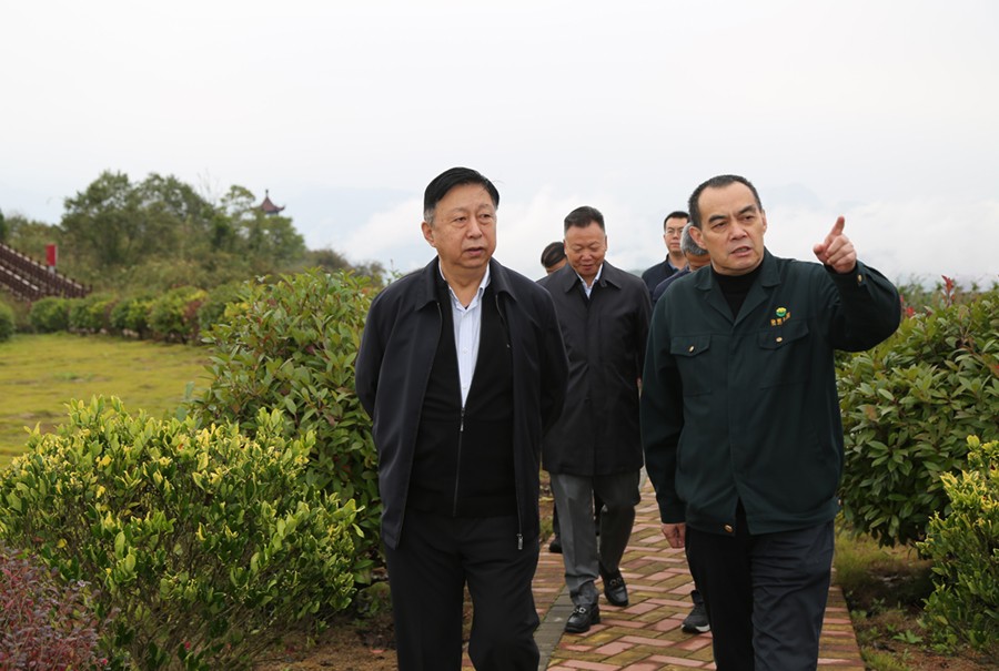 19-2021年10月，原國(guó)土資源部副部長(zhǎng)汪民蒞臨公司調(diào)研。.jpg