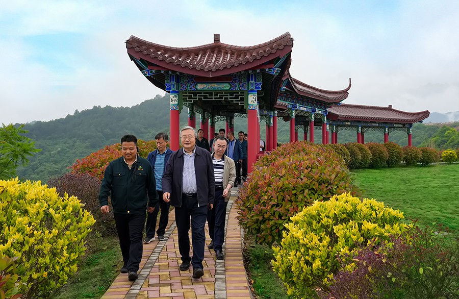 49-2022年5月，省工信廳副廳長(zhǎng)王海峰一行蒞臨金徽股份調(diào)研綠色礦山建設(shè)工作。.jpg