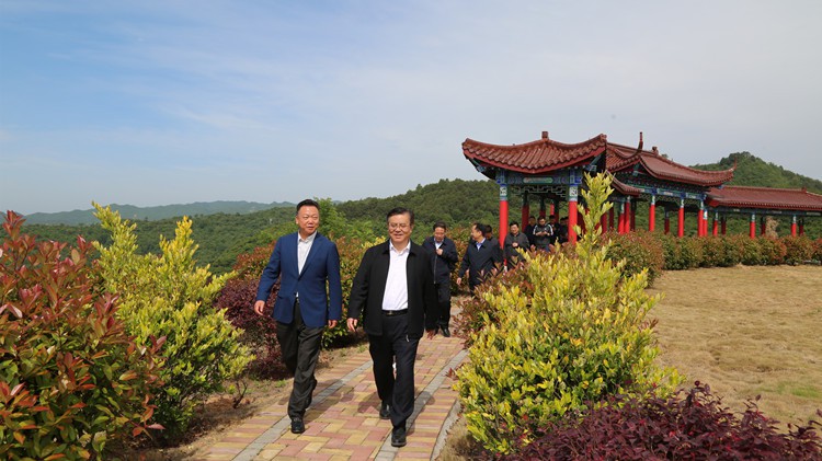 省人民檢察院黨組書記、檢察長(zhǎng)朱玉調(diào)研金徽股份